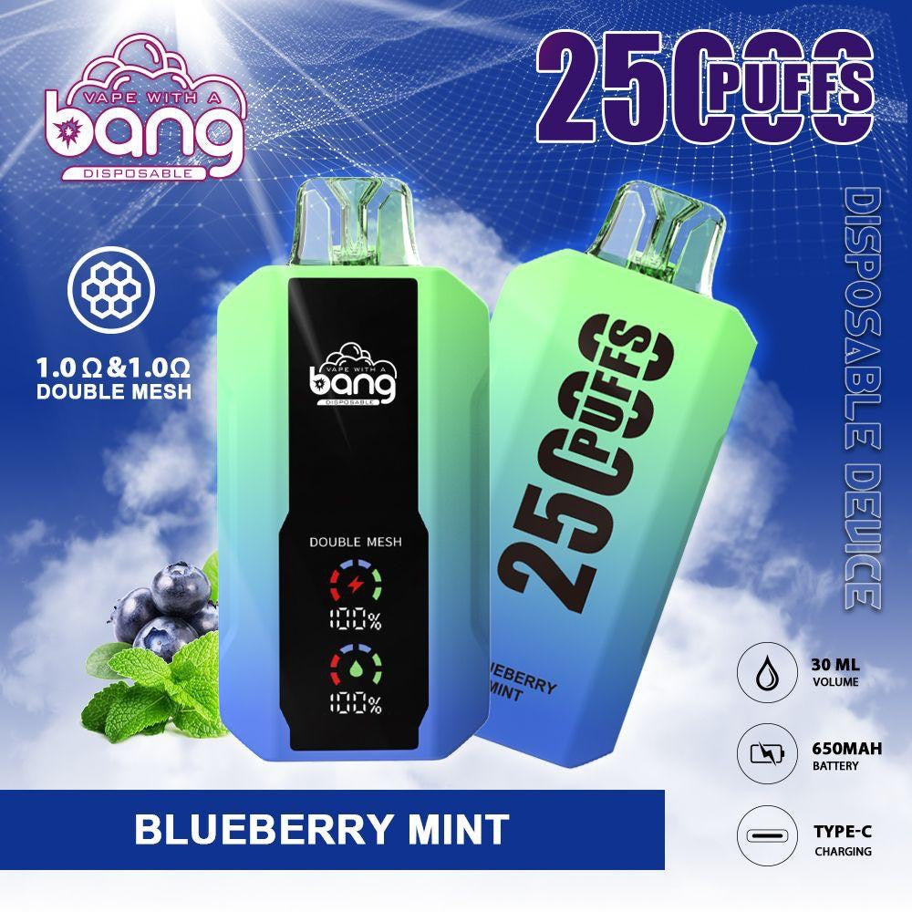 Bang Vape 25000 Puffs –(ブルーベリーミント)