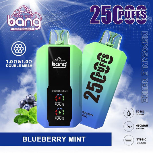 Bang Vape 25000 Puffs –(ブルーベリーミント)
