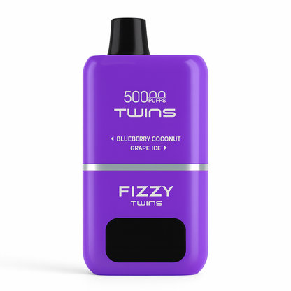 Fizzy Twins 2 Flavors – （ブルーベリーココナッツ × グレープアイス）