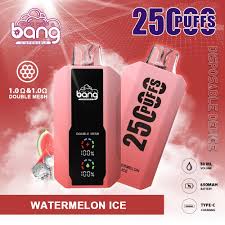 Bang Vape 25000 Puffs –（スイカアイス）
